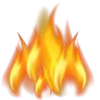 Non Veg House Logo